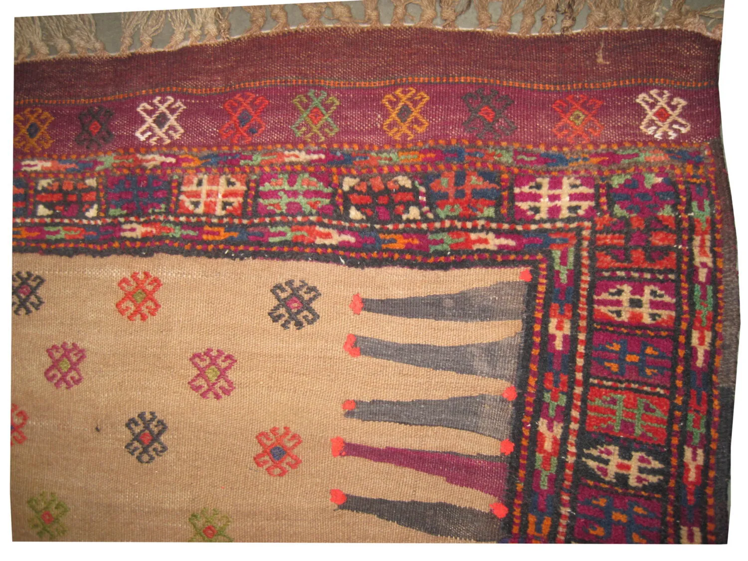 Gutschan Kurd Persian - Image 2
