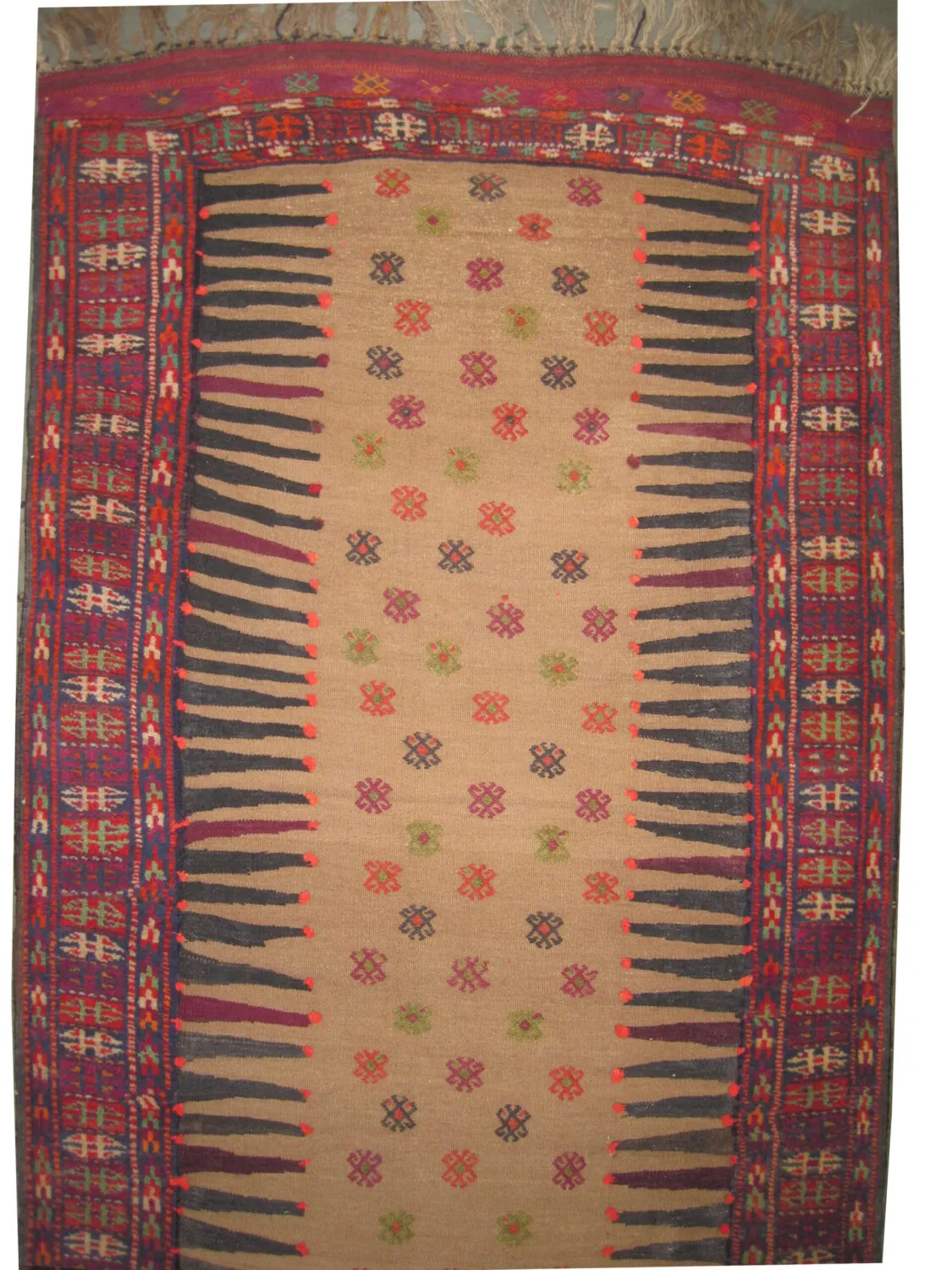 Gutschan Kurd Persian - Image 3