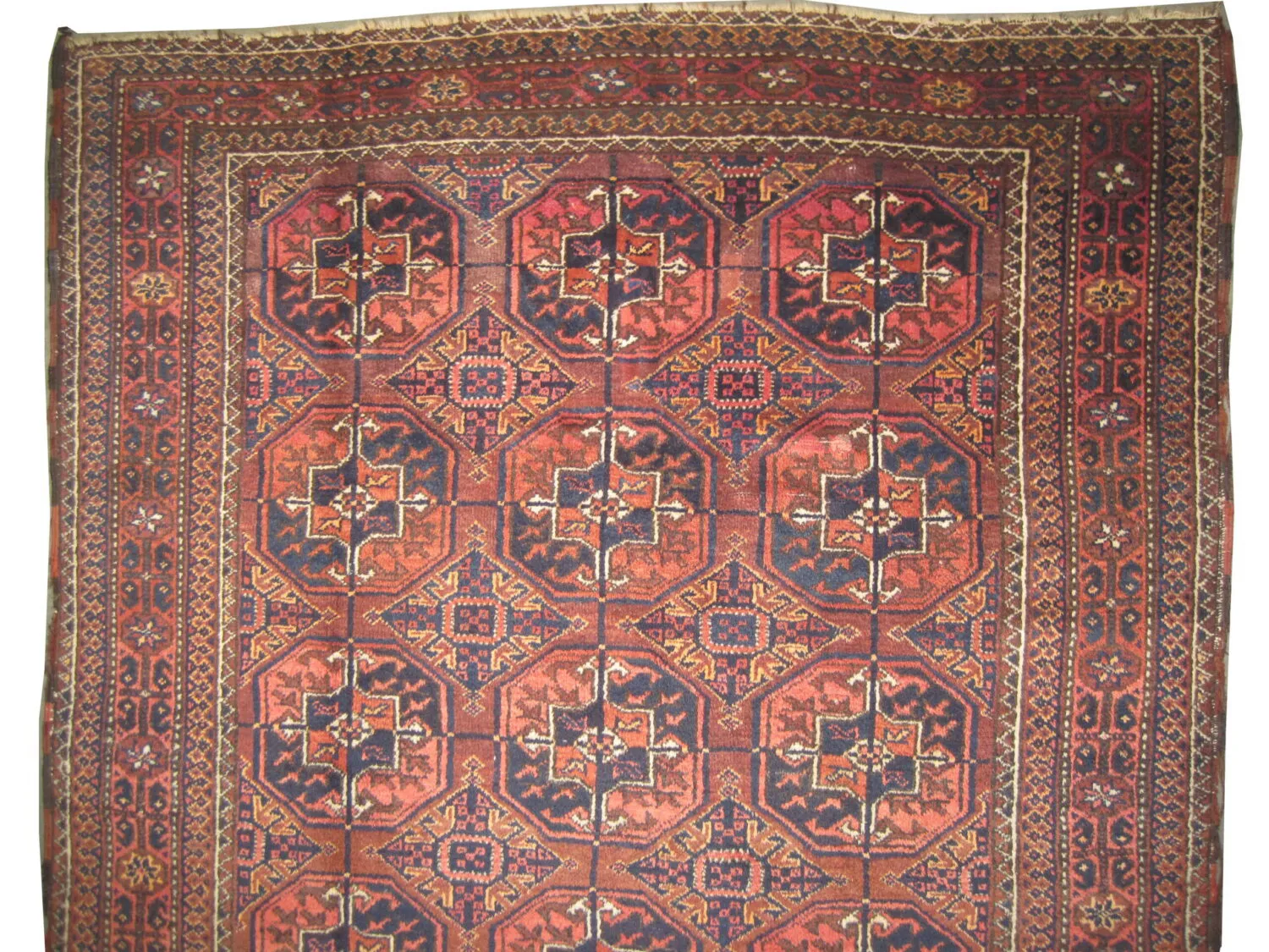 Belutsch Persian - Image 3
