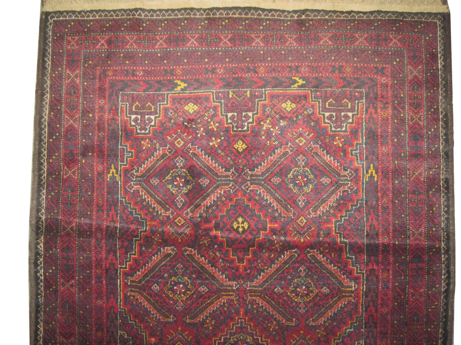 Belutsch Persian - Image 2
