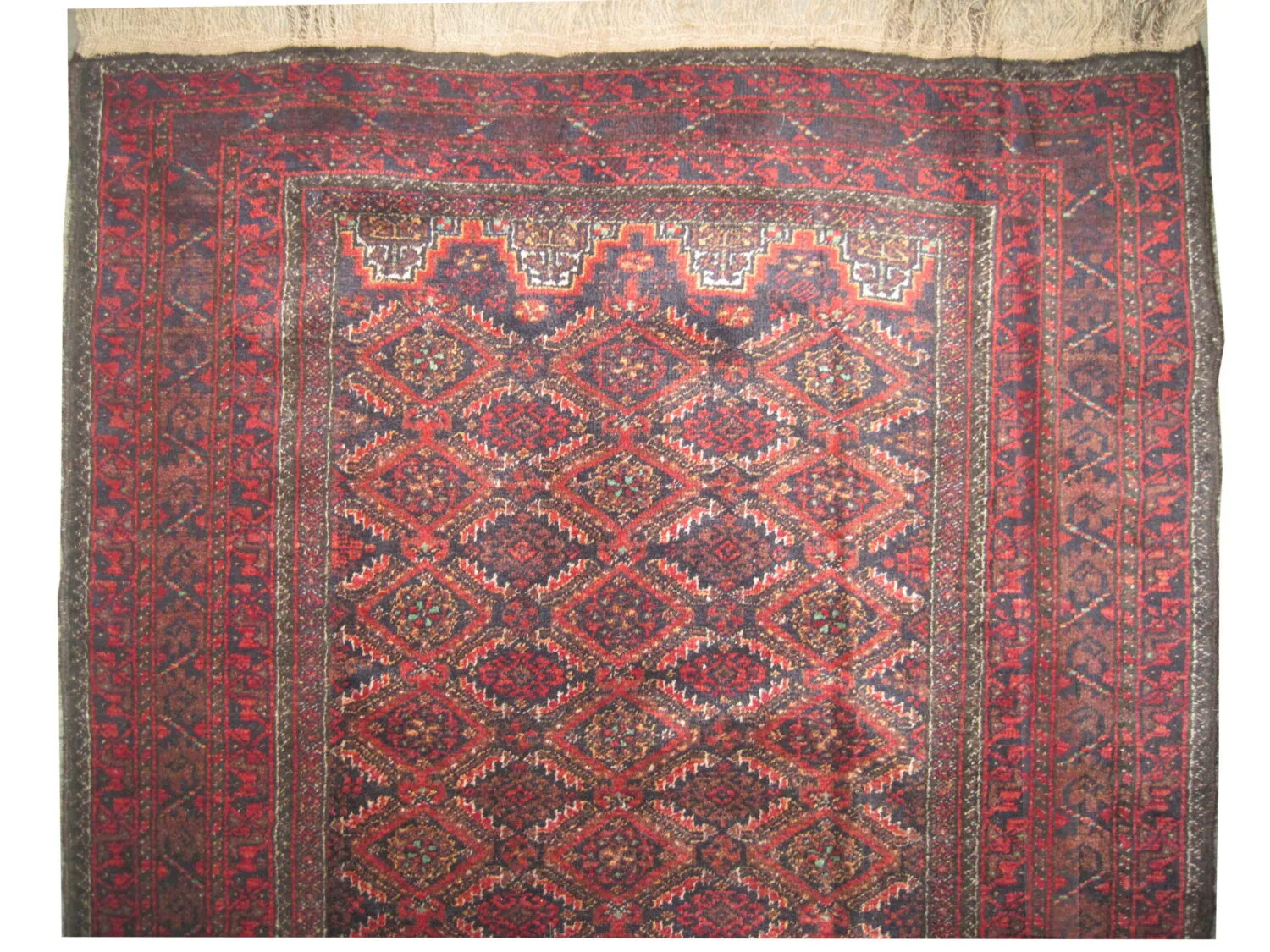 Belutsch Persian - Image 2