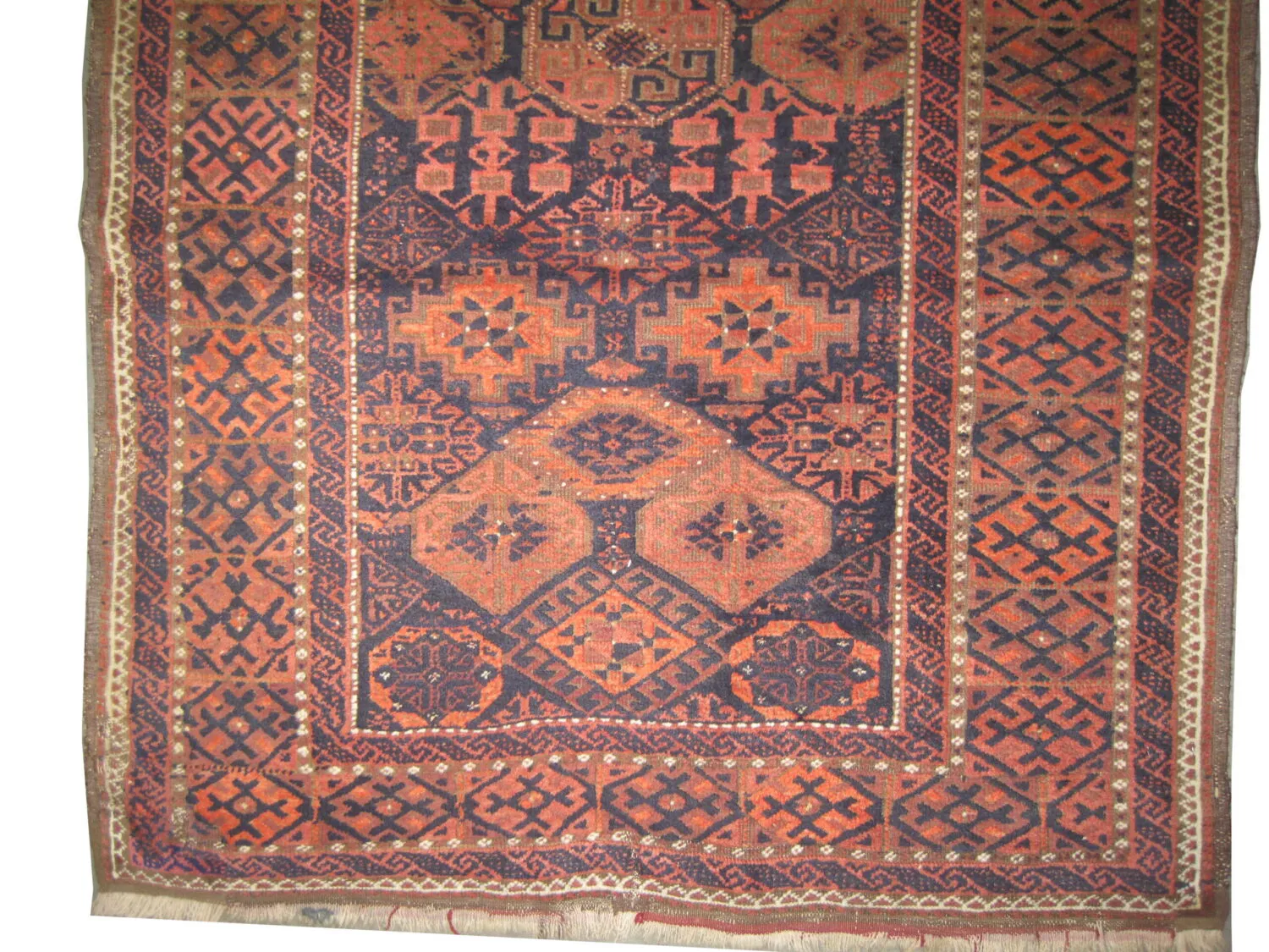 Belutsch Persian - Image 2