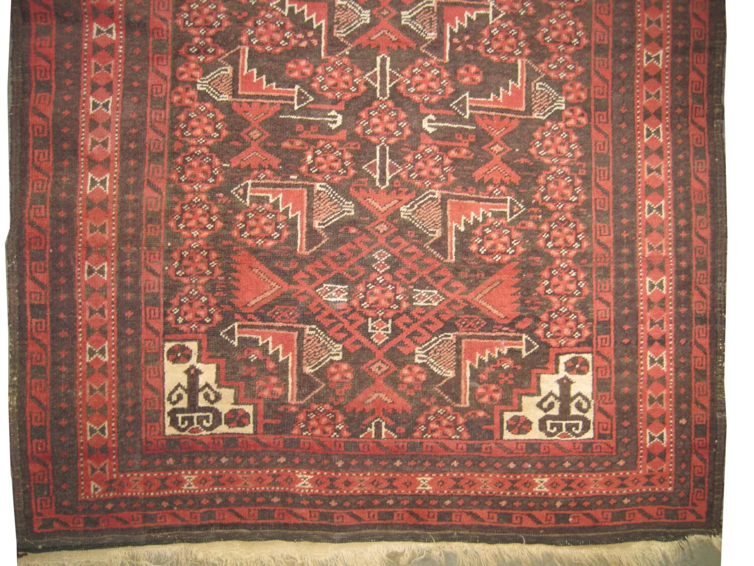 Belutsch Persian - Image 3
