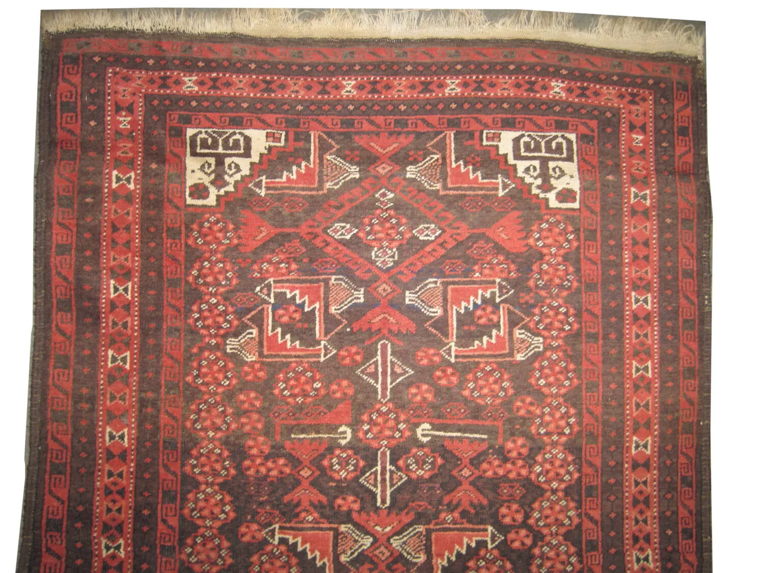Belutsch Persian - Image 2