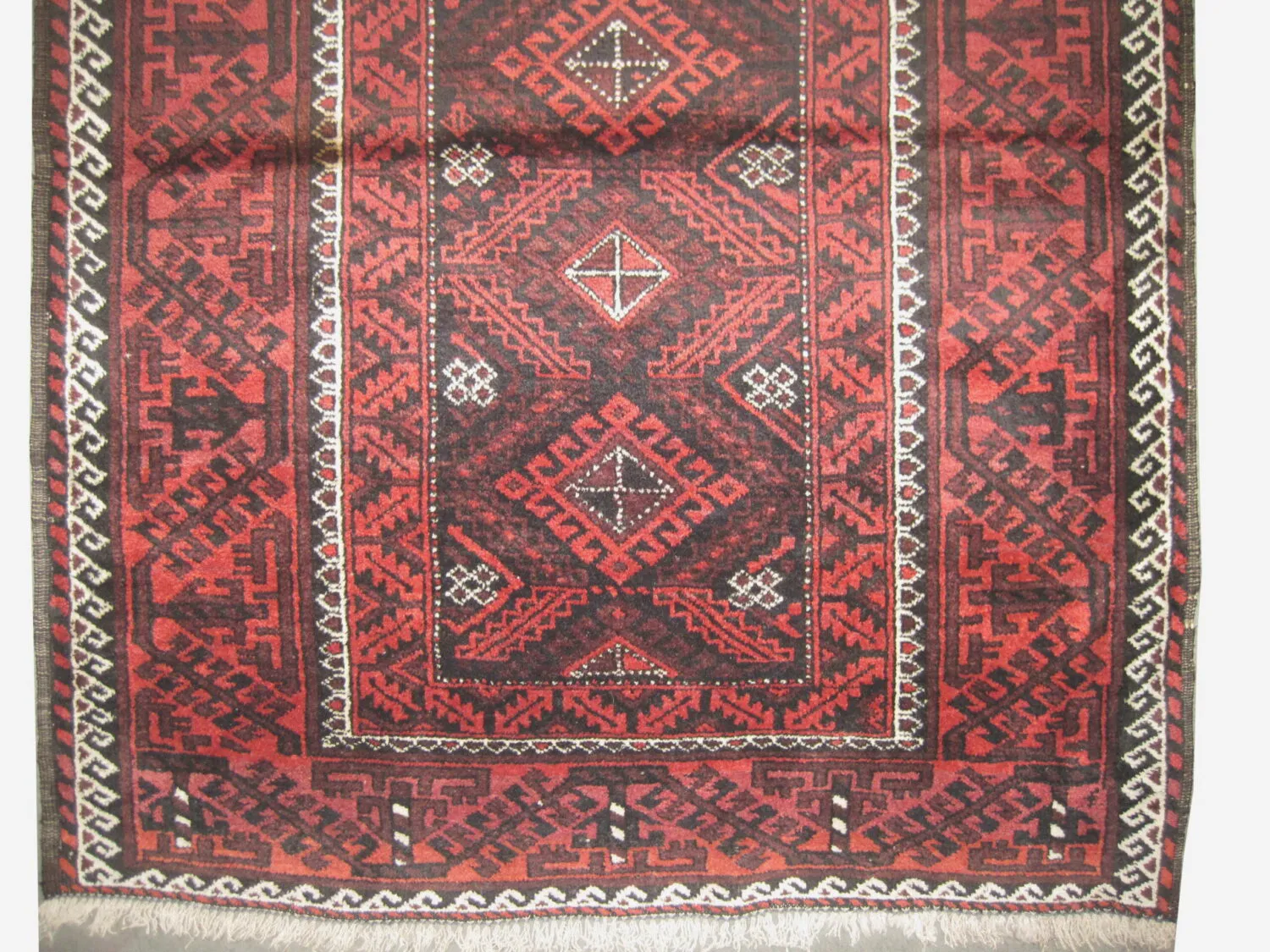 Belutsch Persian - Image 3