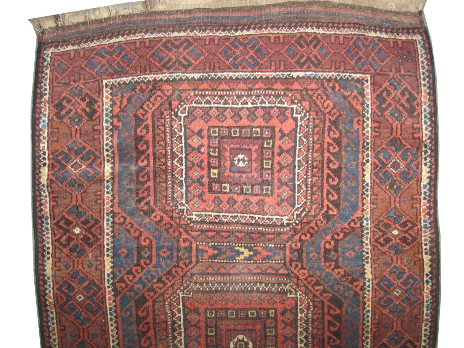 Belutsch Persian - Image 2