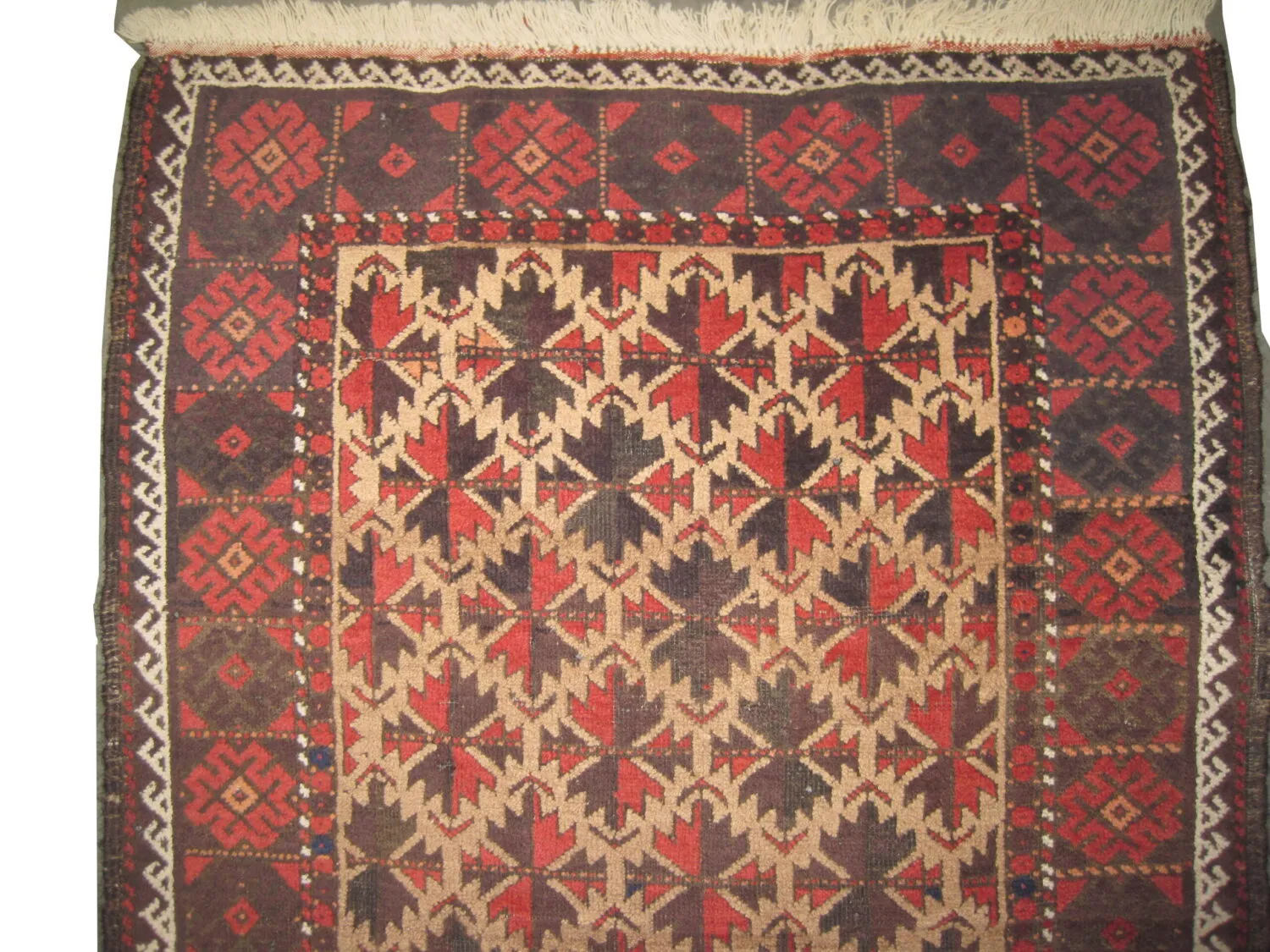 Belutsch Persian - Image 3