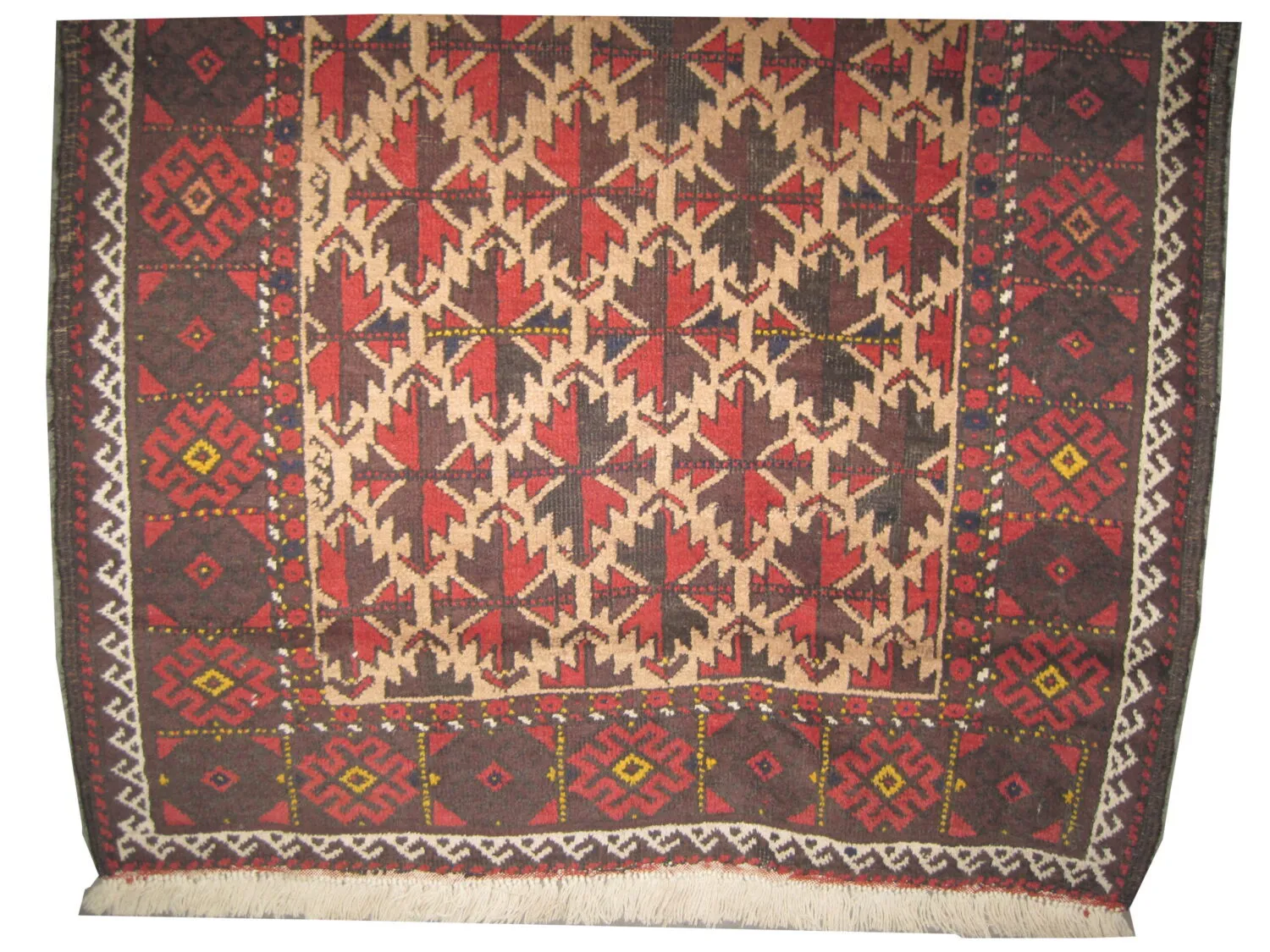 Belutsch Persian - Image 2
