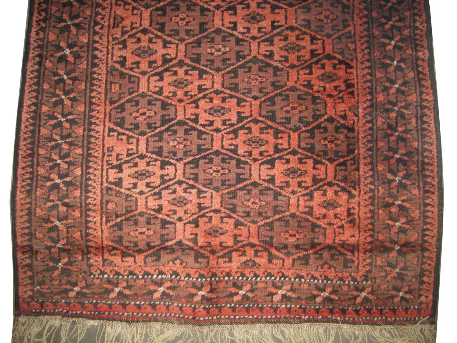 Belutsch Persian - Image 3