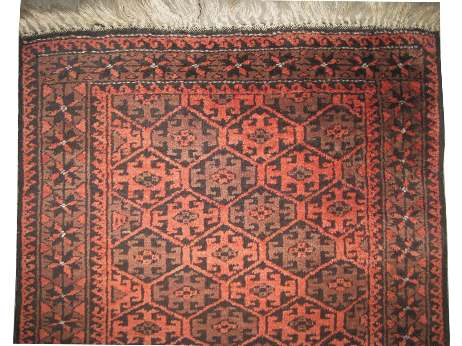 Belutsch Persian - Image 2