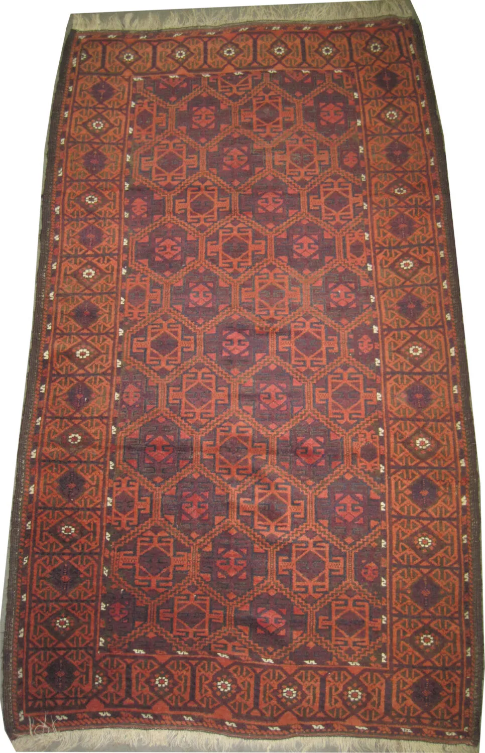 Belutsch Persian