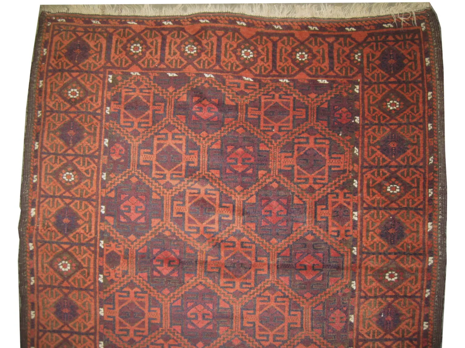 Belutsch Persian - Image 3