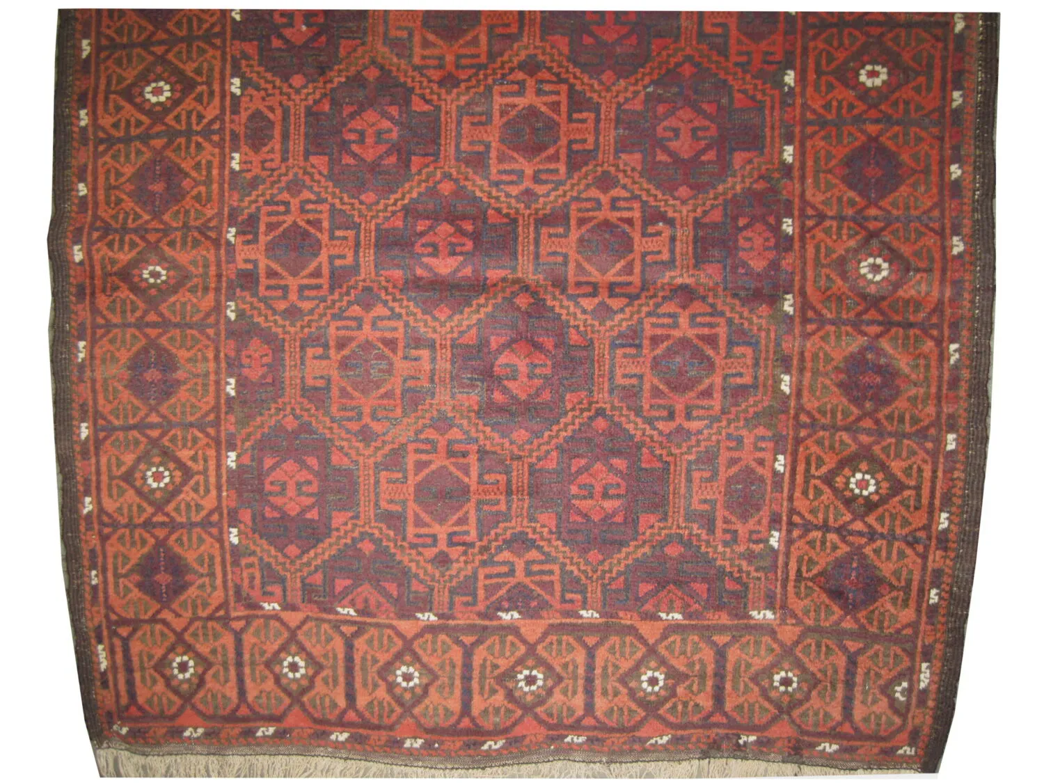 Belutsch Persian - Image 2