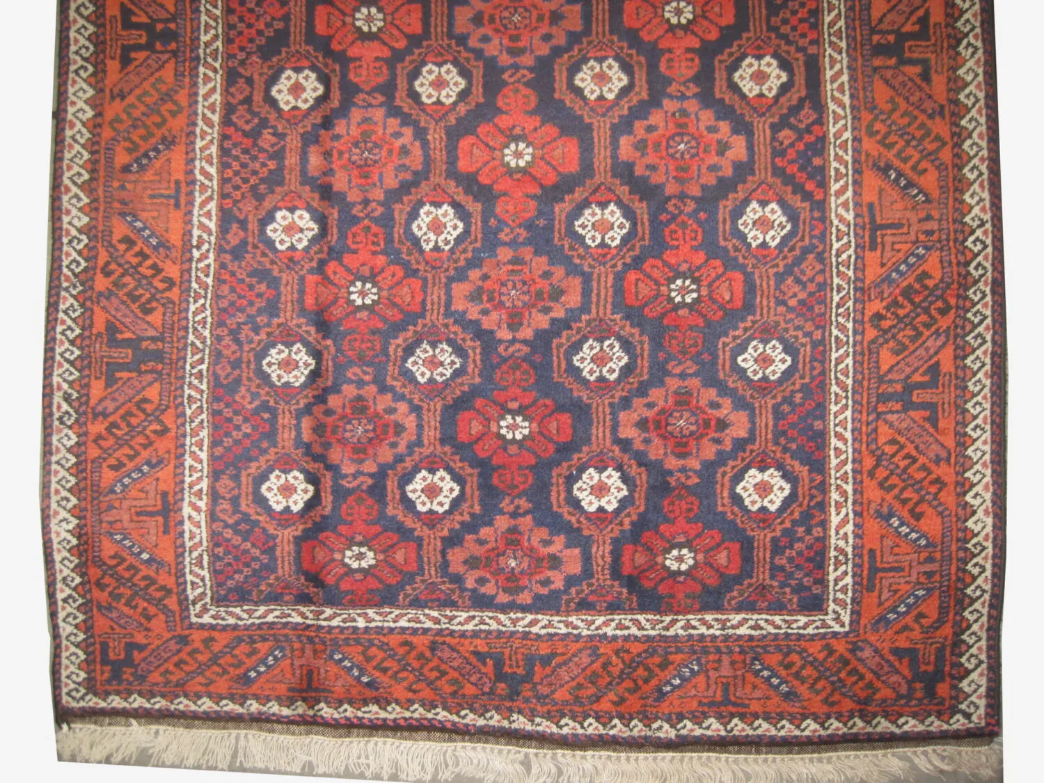 Belutsch Persian - Image 3