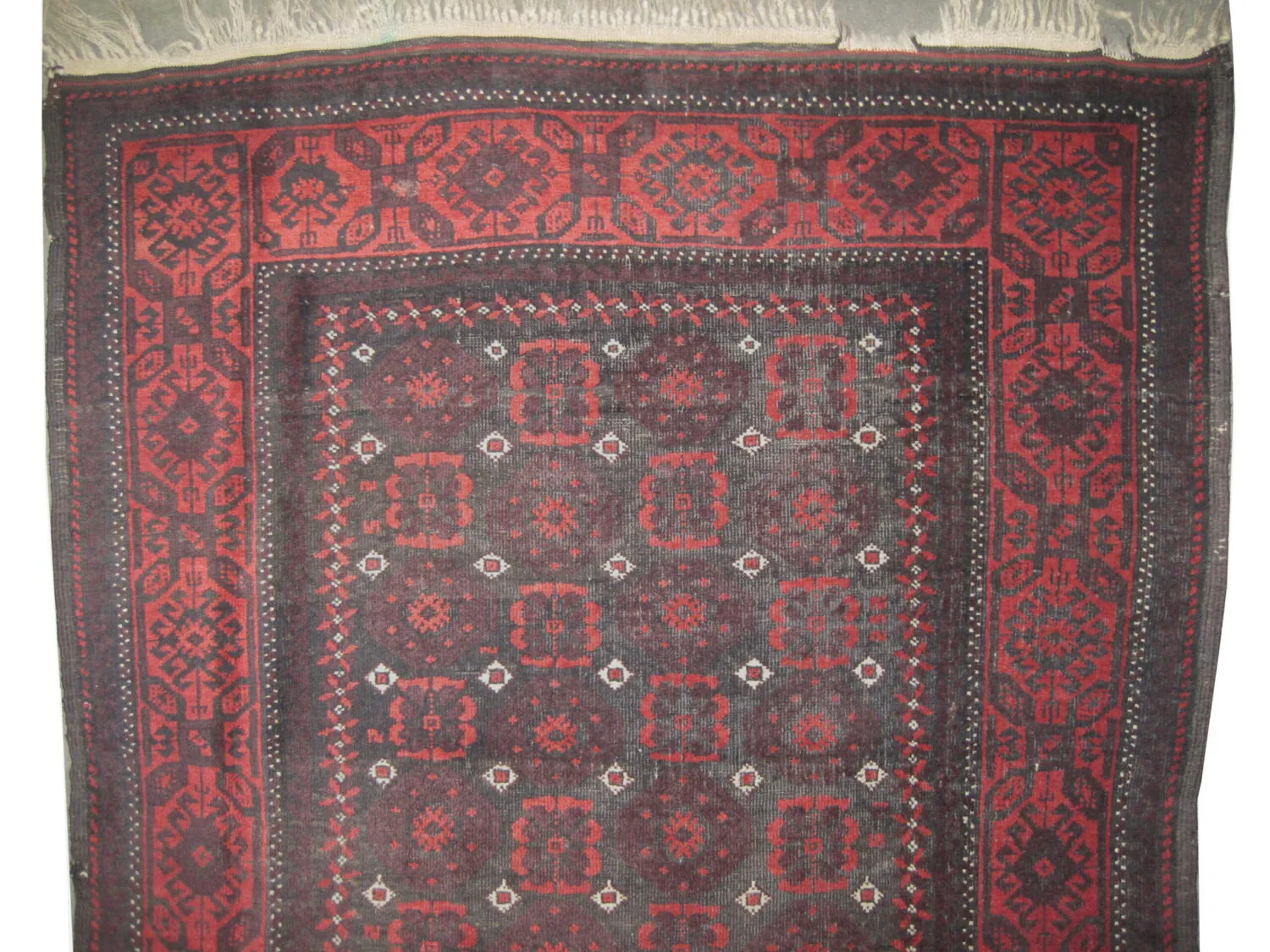 Belutsch Persian - Image 3