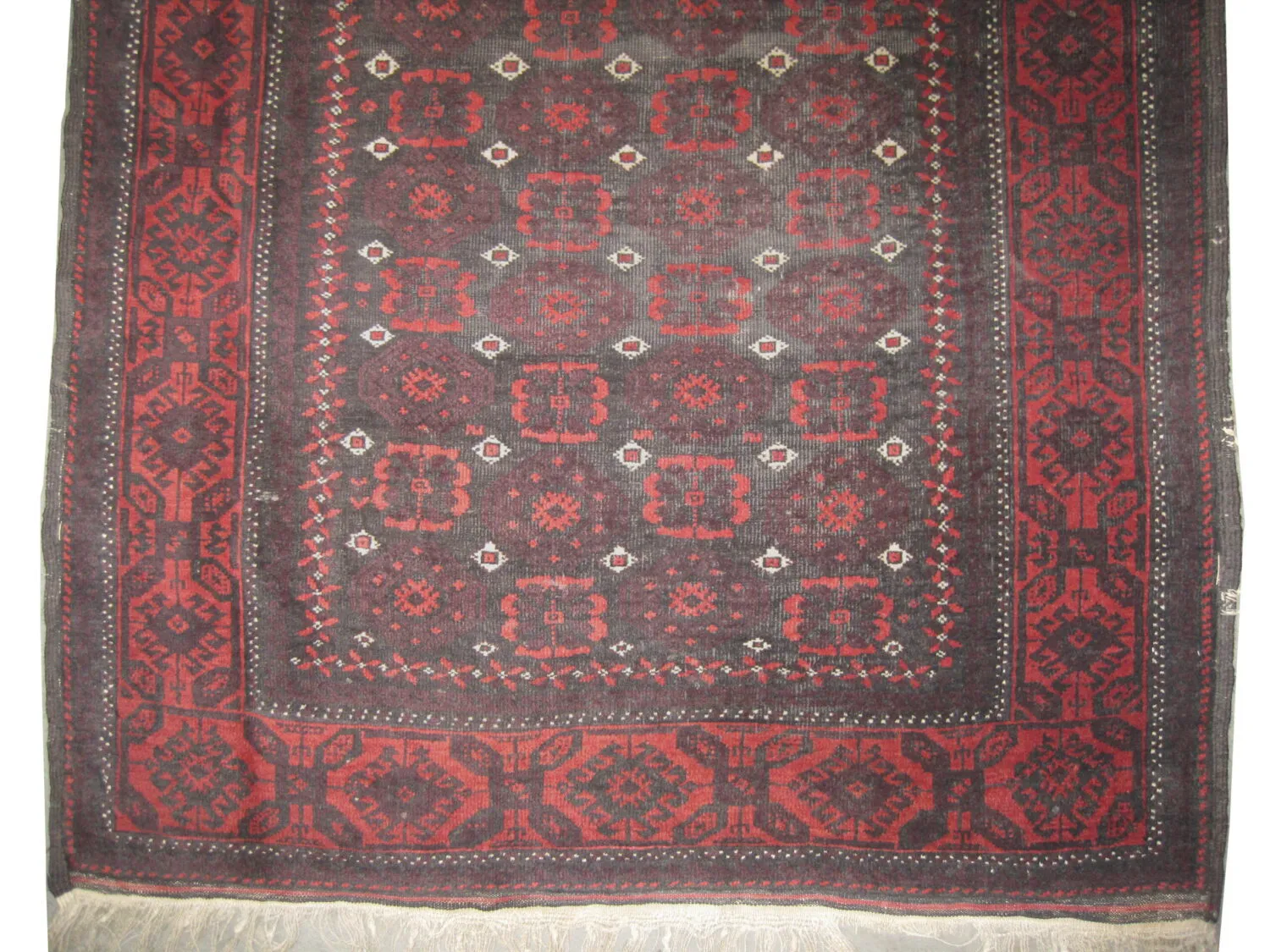 Belutsch Persian - Image 2