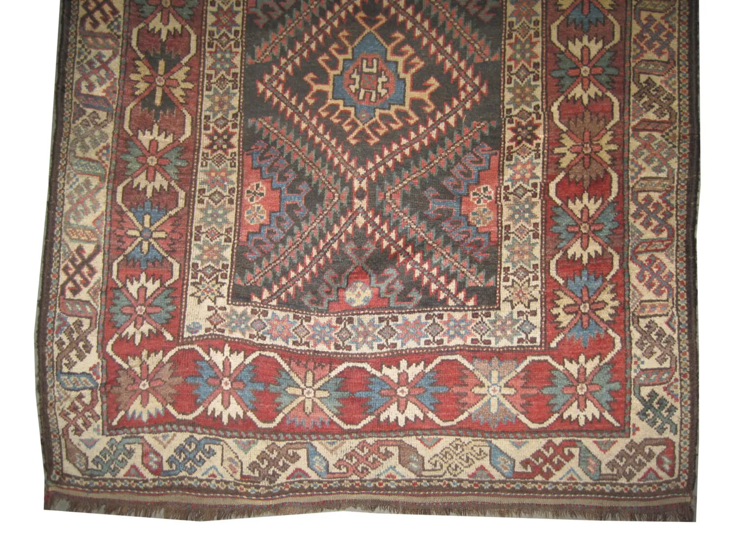 Shiraz Persian - Image 3