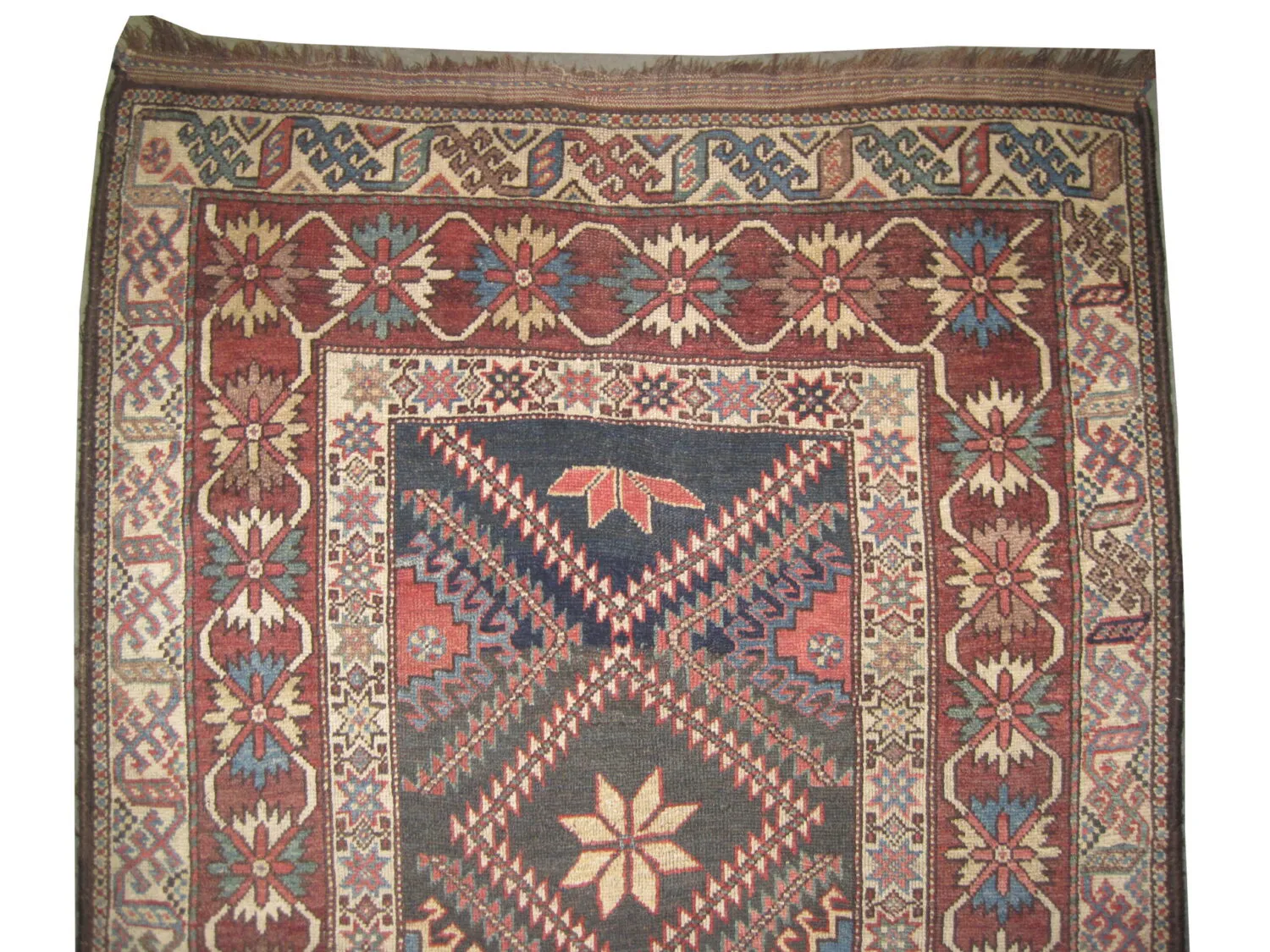 Shiraz Persian - Image 2