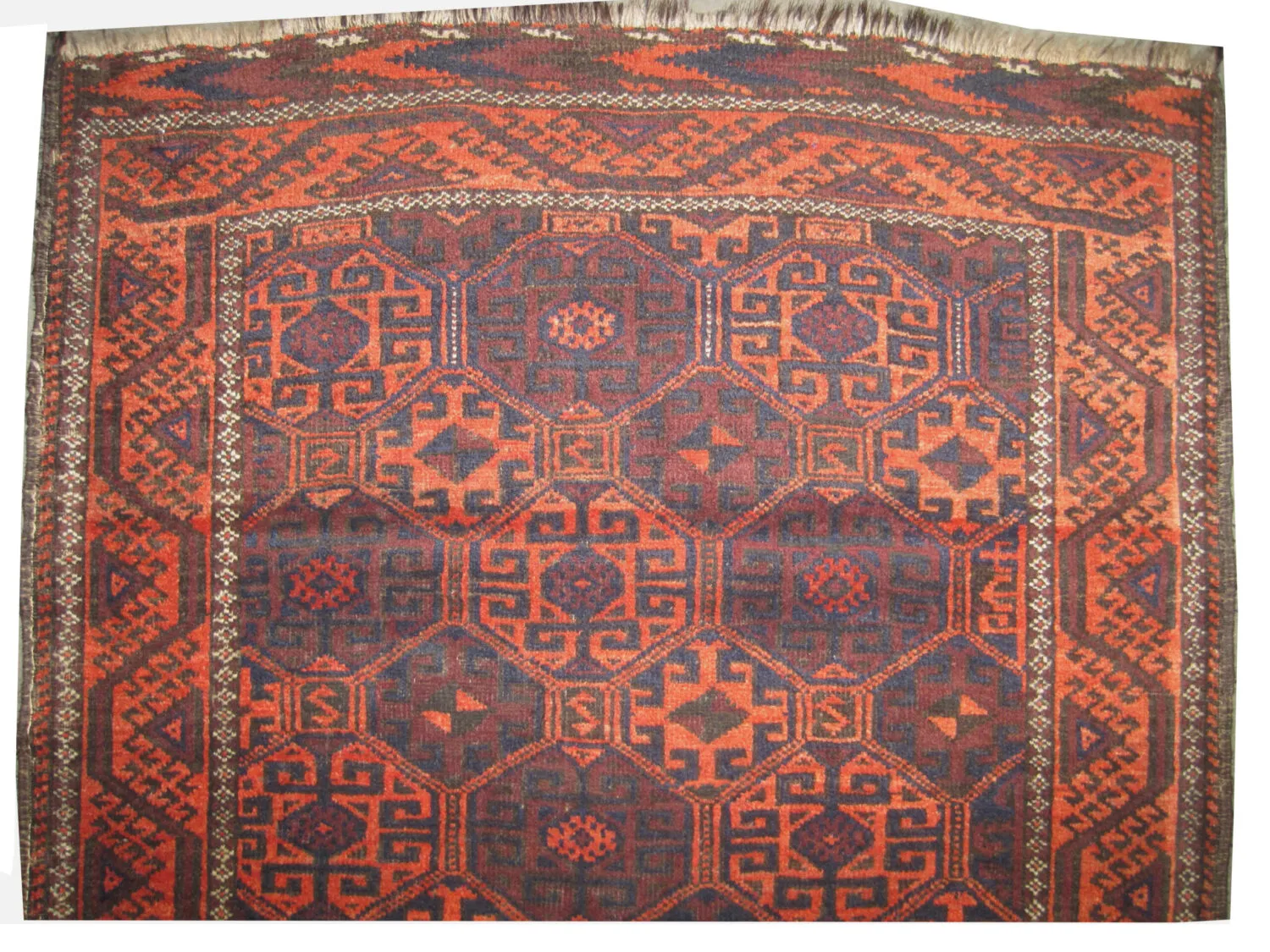 Belutsch Persian - Image 2