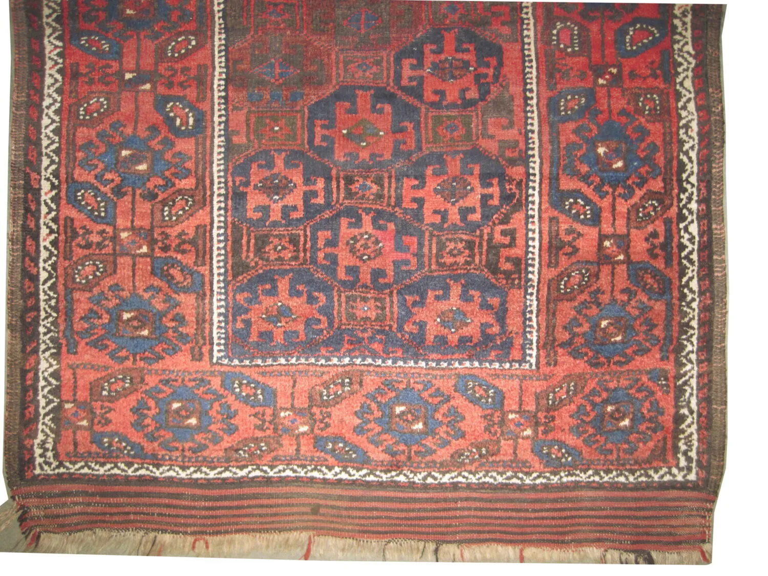 Belutsch Persian - Image 2