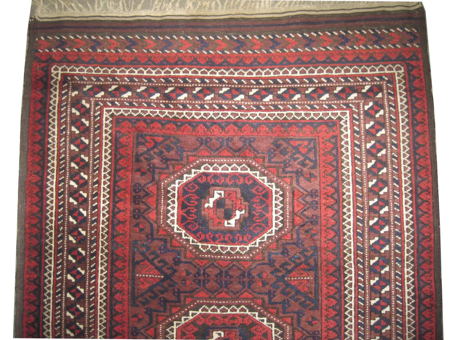 Belutsch Persian - Image 2
