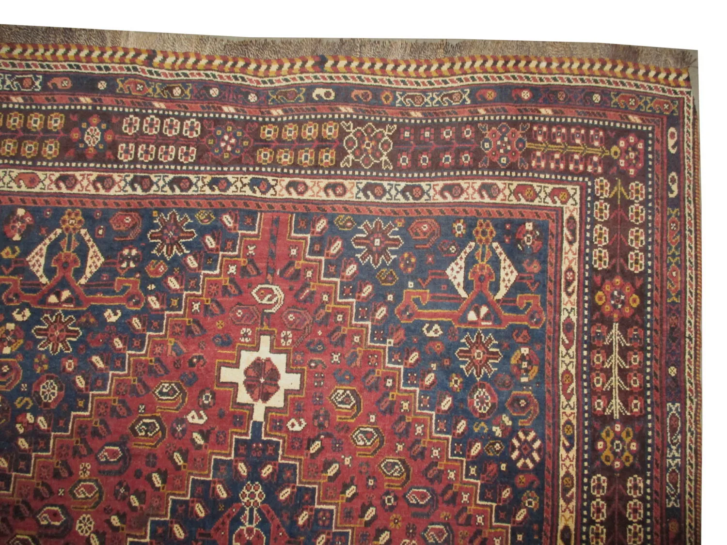 Qashqai Persian - Image 4