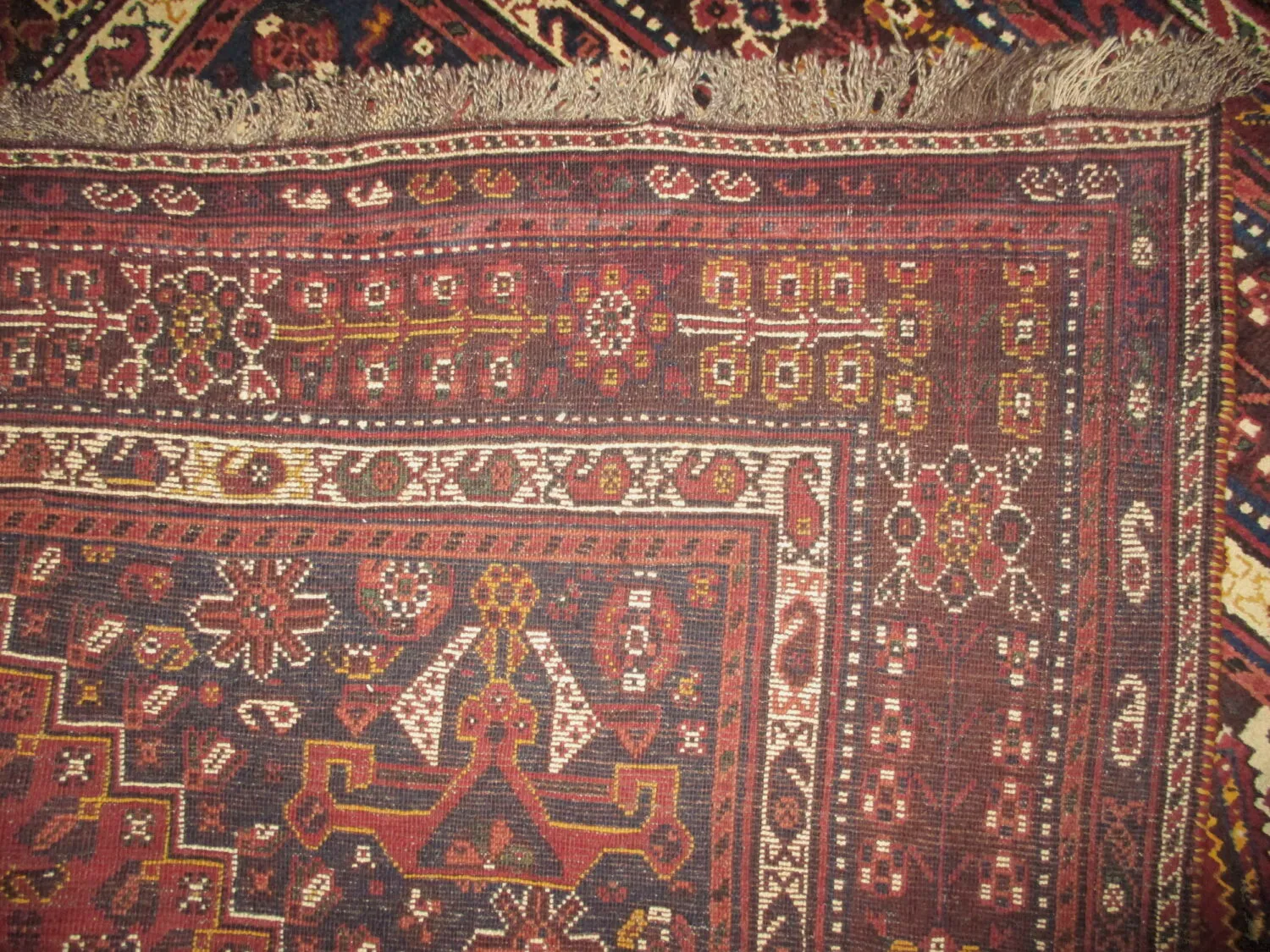 Qashqai Persian - Image 5