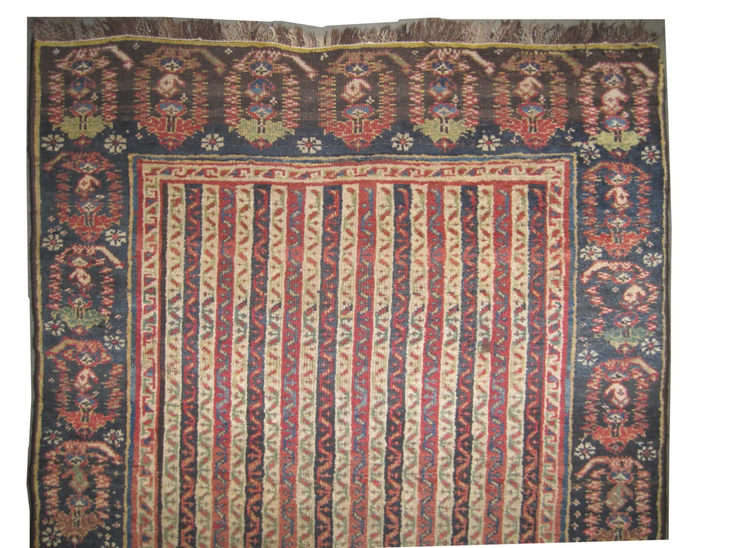 Louri Kurd Persian - Image 2