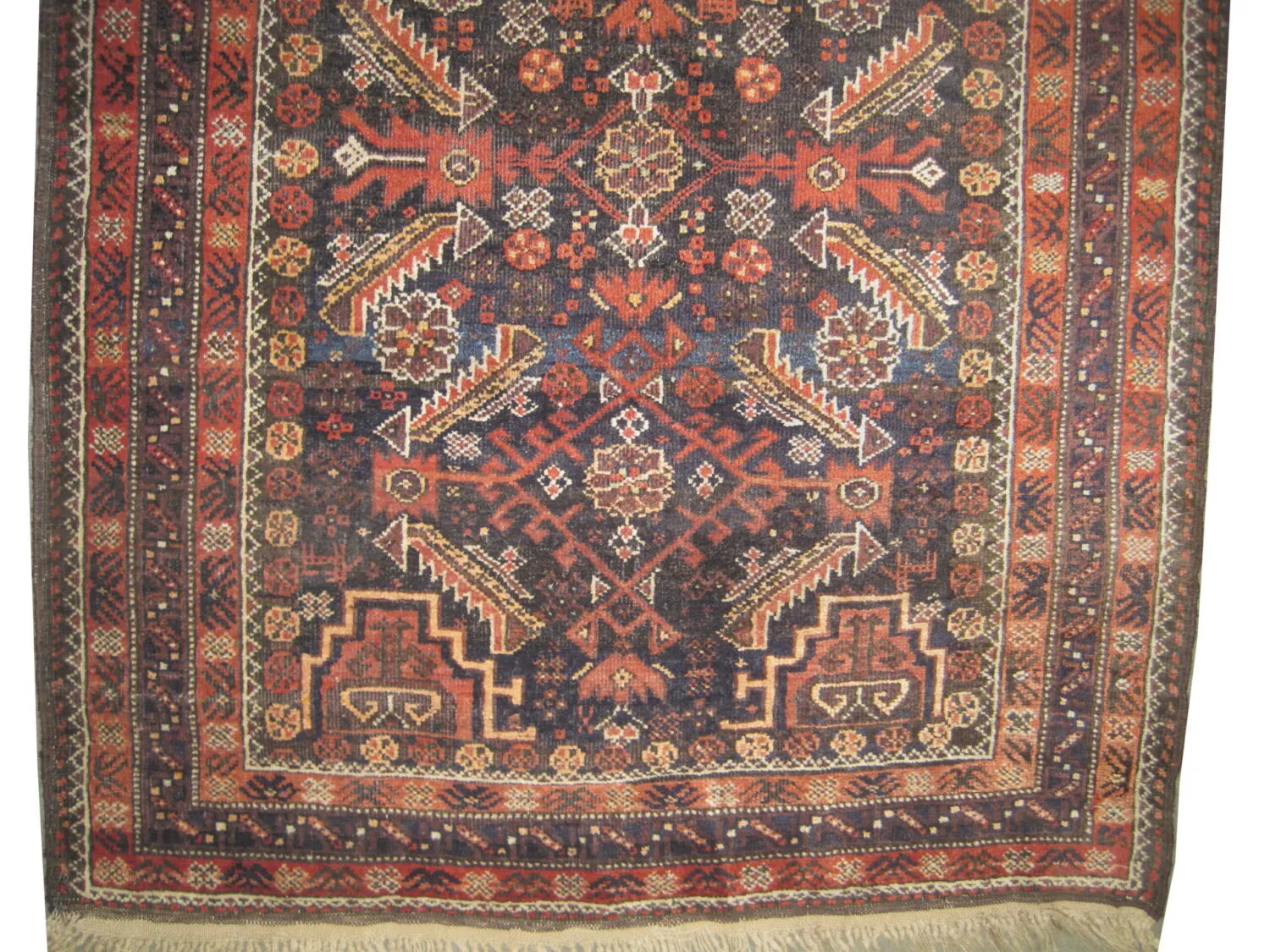 Belutsch Persian - Image 3