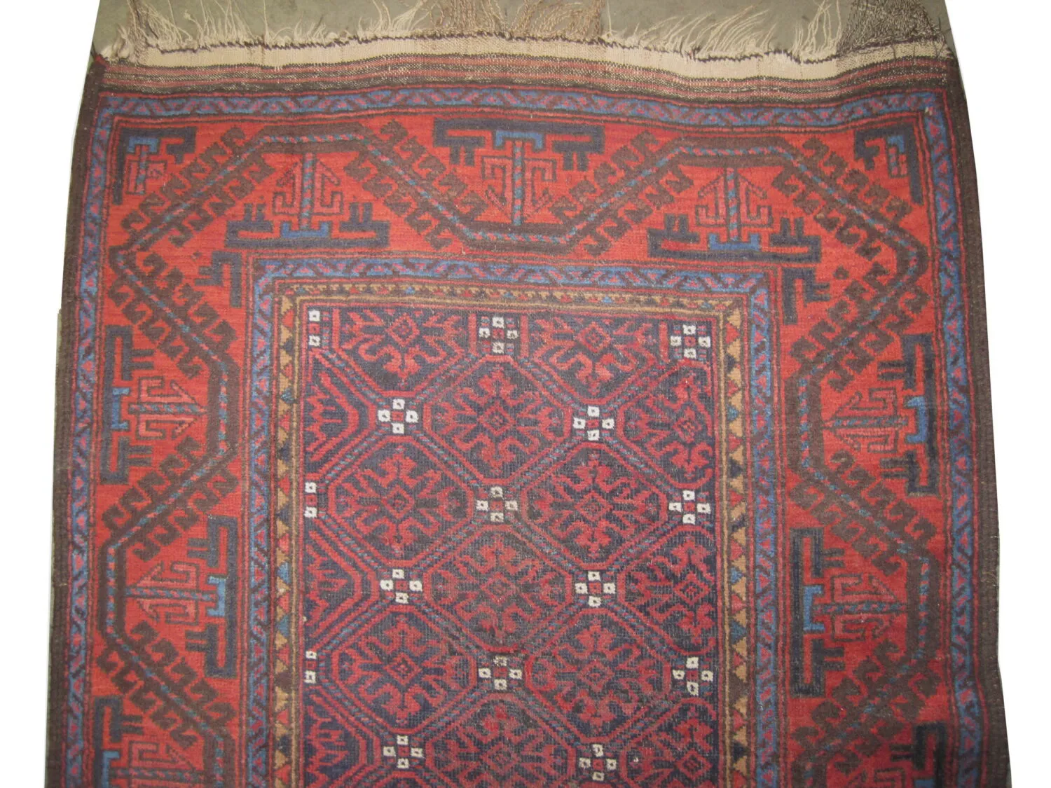Belutsch Persian - Image 2