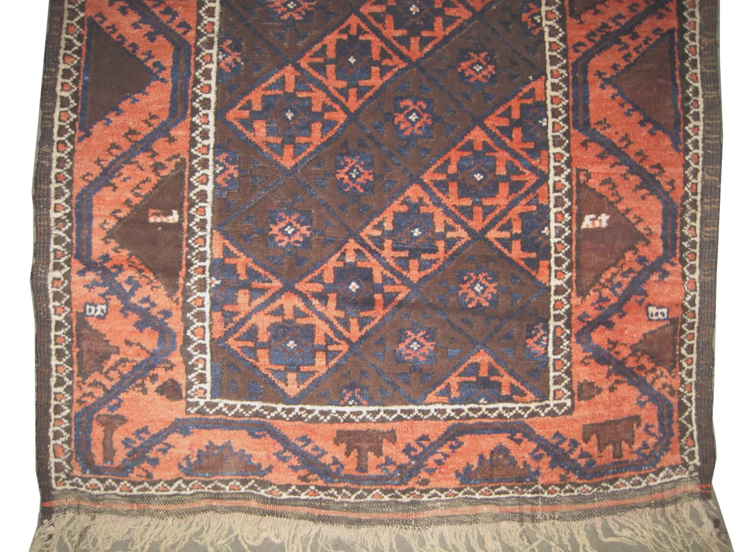 Belutsch Persian - Image 3