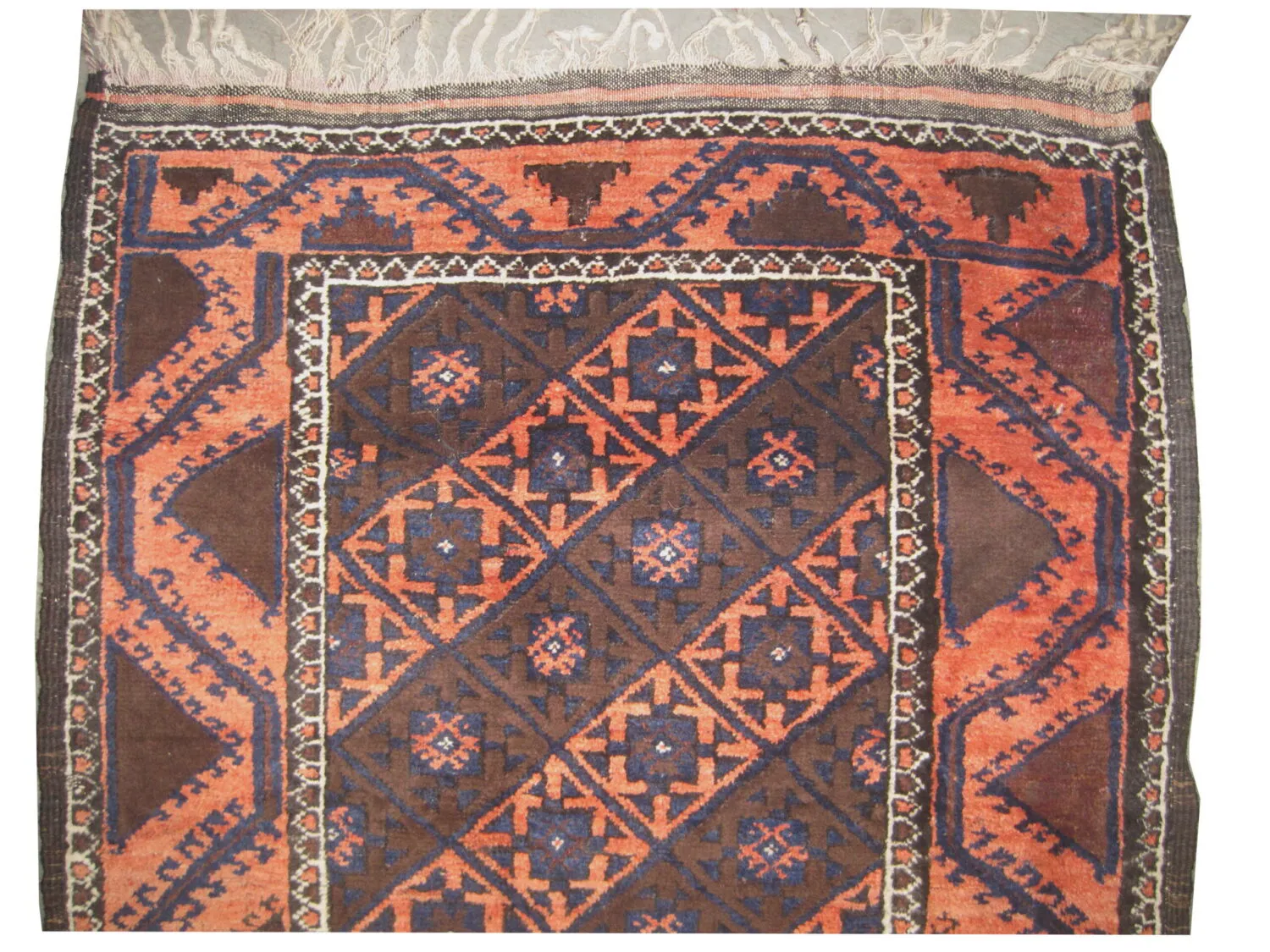 Belutsch Persian - Image 2