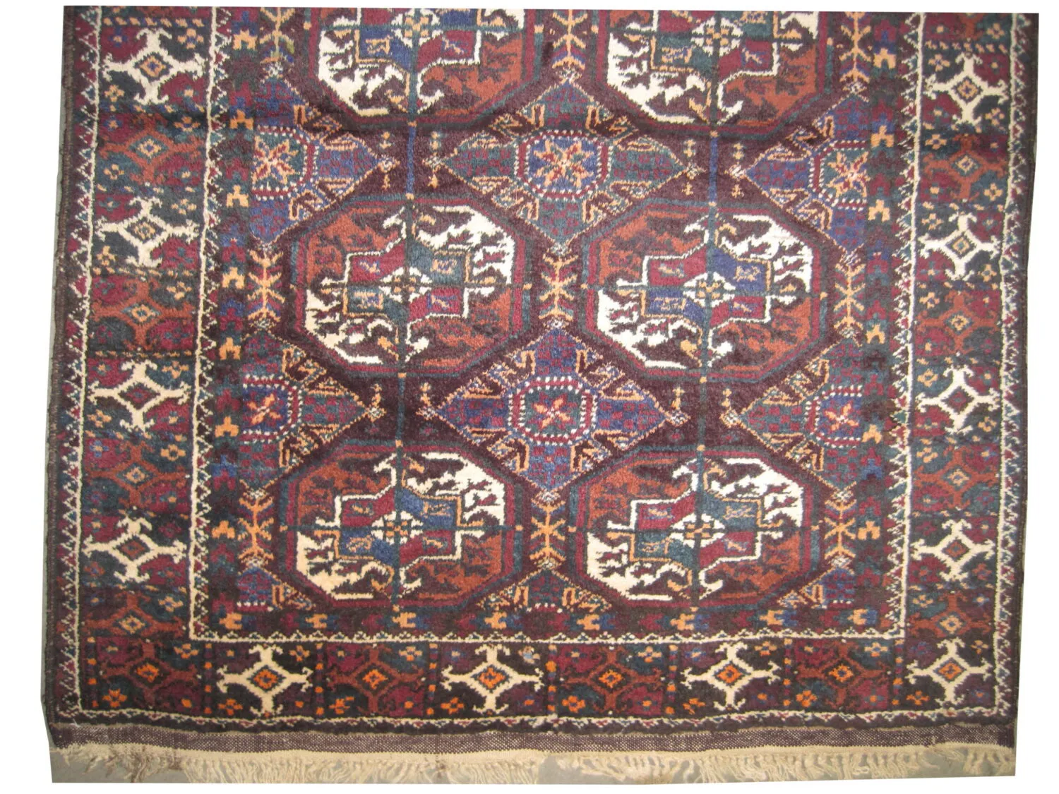 Belutsch Persian - Image 3