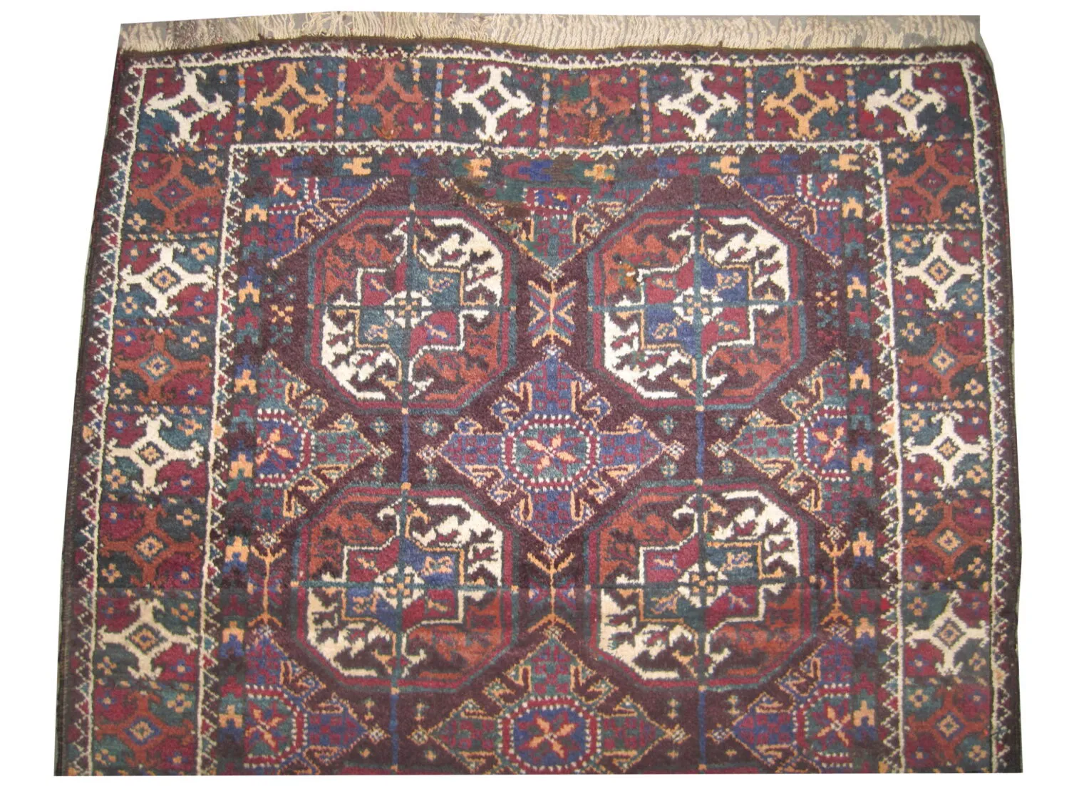 Belutsch Persian - Image 2
