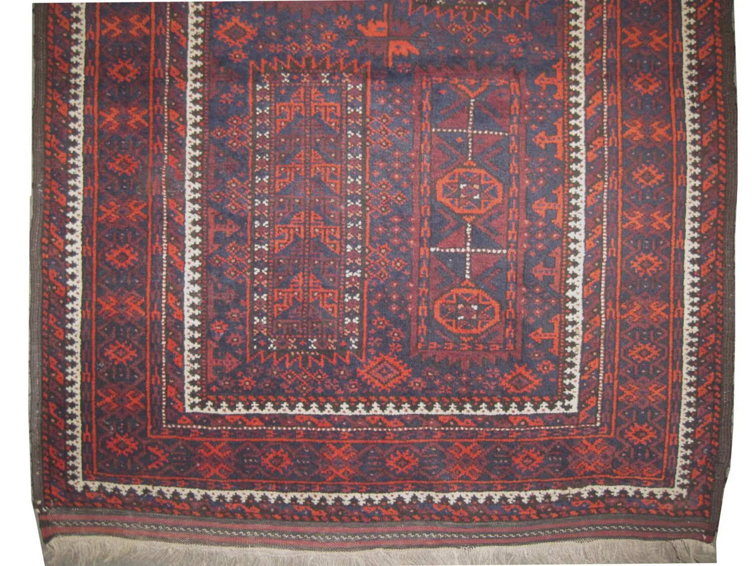Belutsch Persian - Image 3