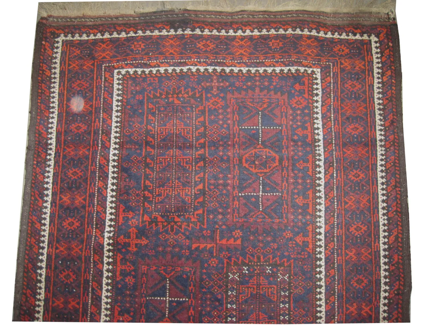 Belutsch Persian - Image 2
