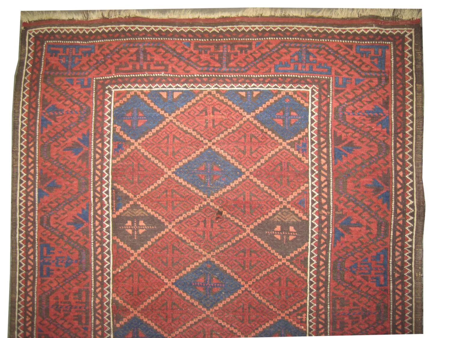 Belutsch Persian - Image 2