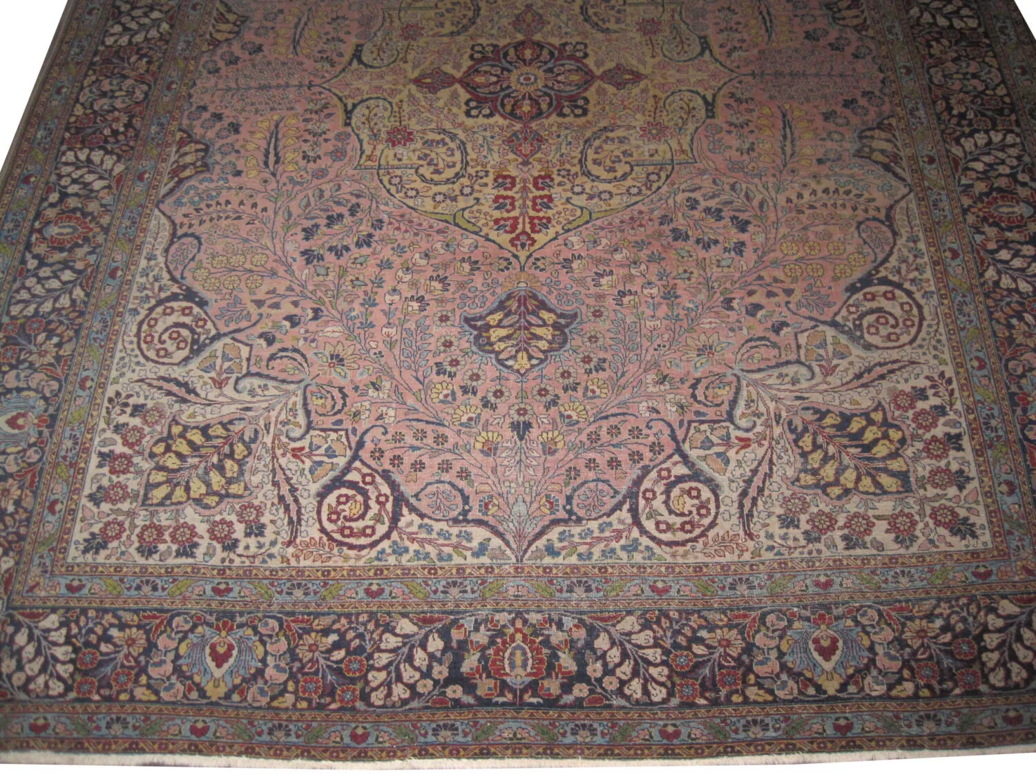 Tabriz Persian - Image 3