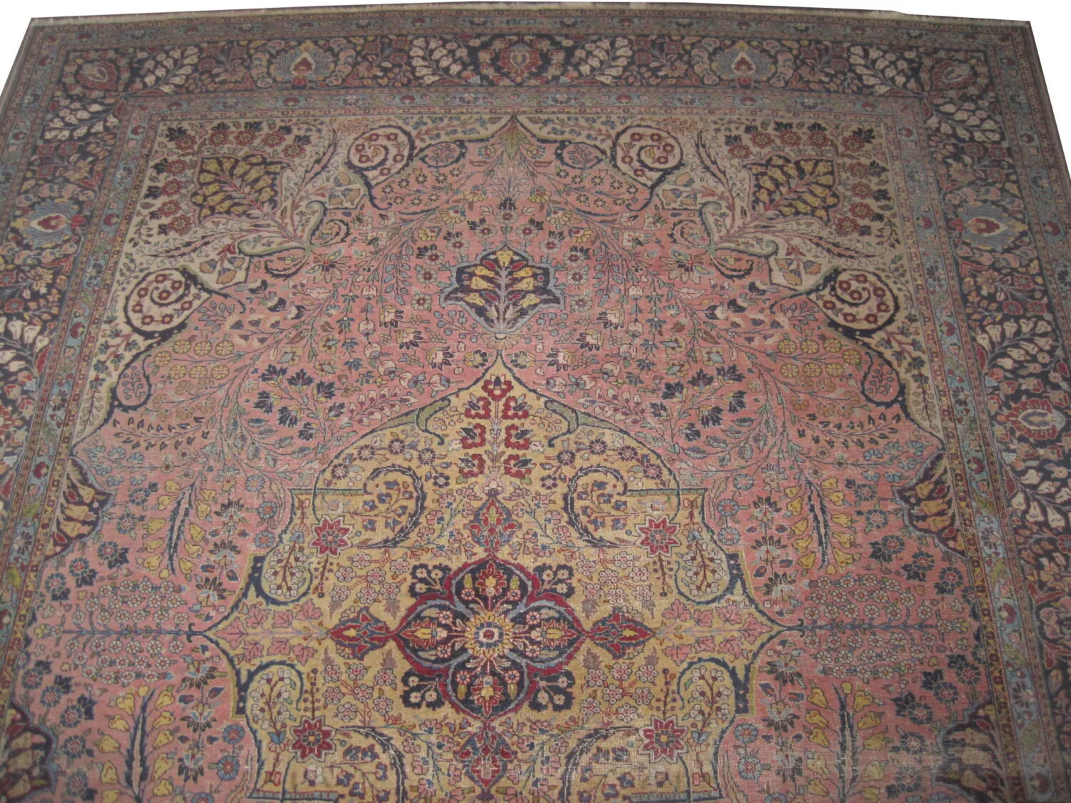Tabriz Persian - Image 2