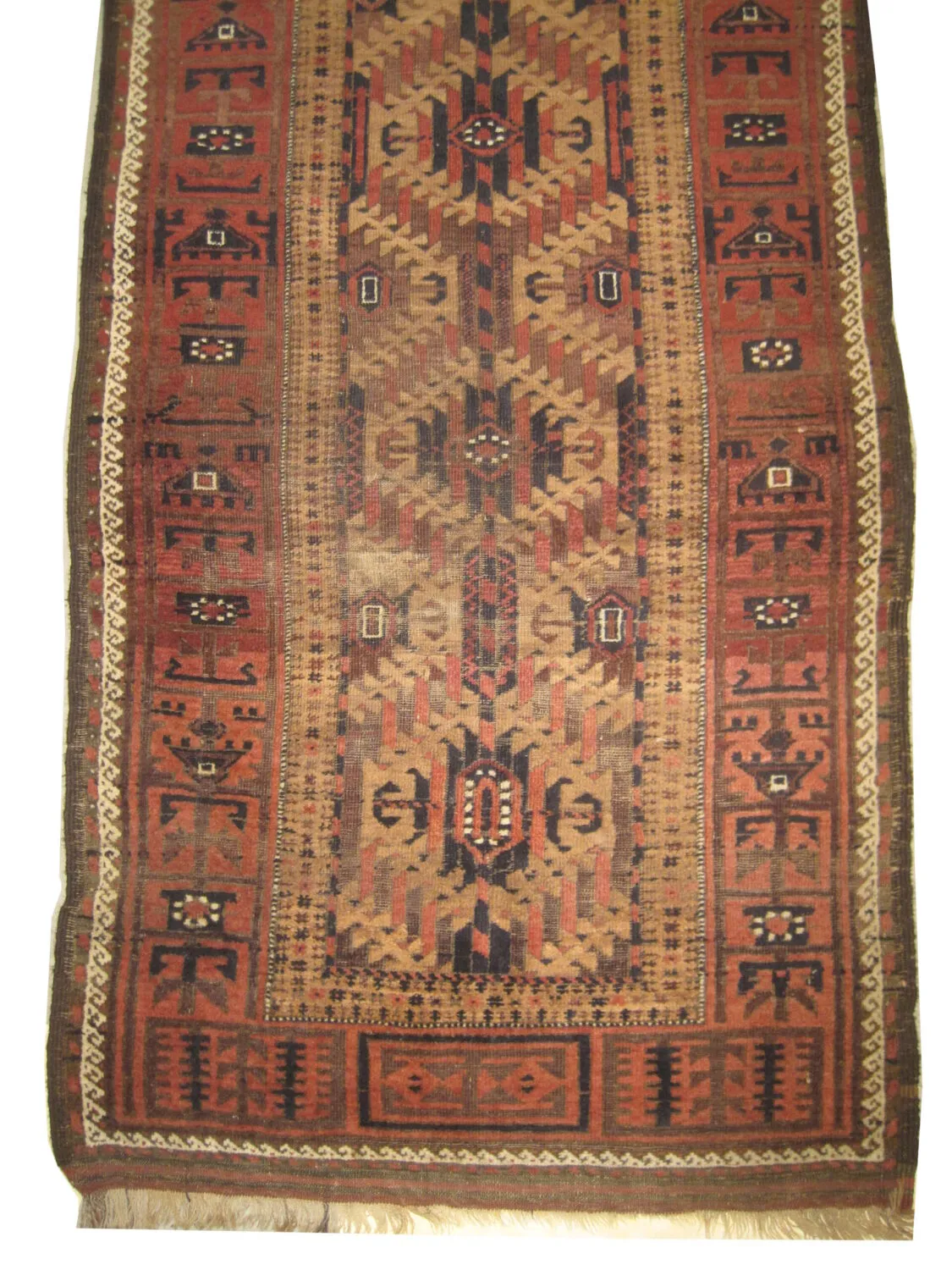 Belutsch Persian - Image 2