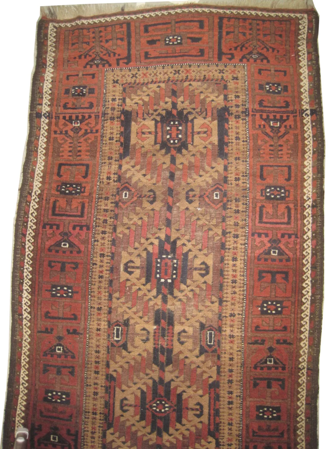 Belutsch Persian - Image 3