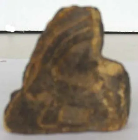 Pre-Columbian Sculpture - Image 2