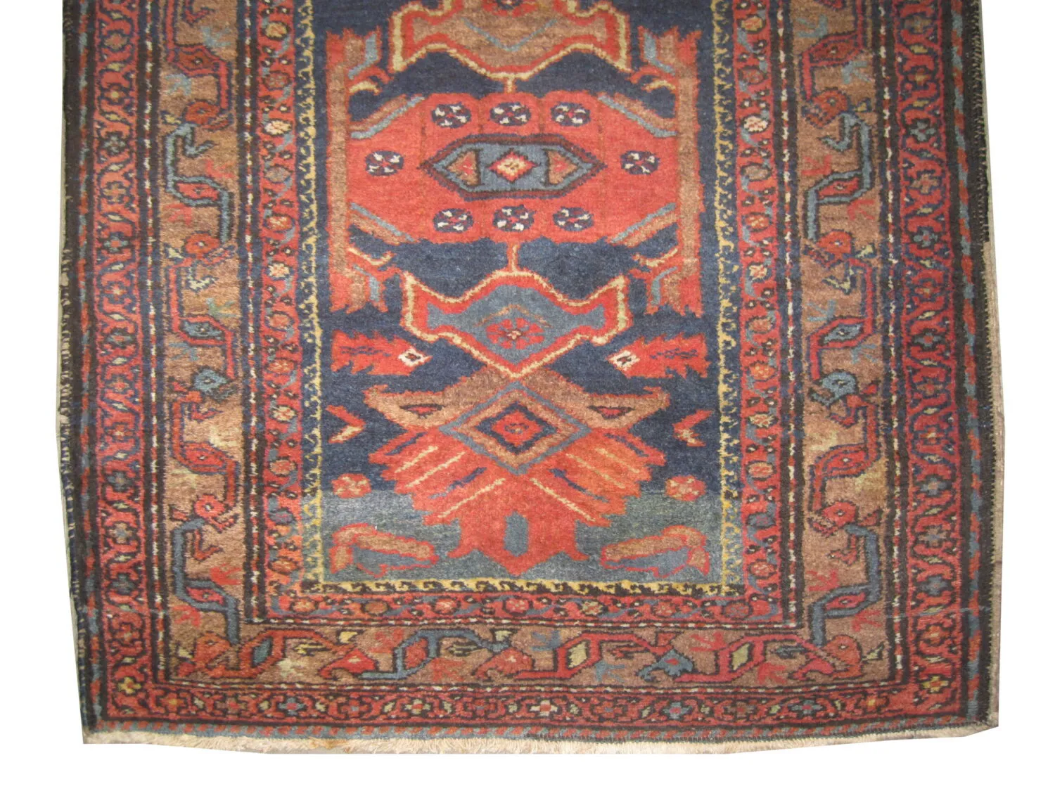 Lilihan Persian - Image 2