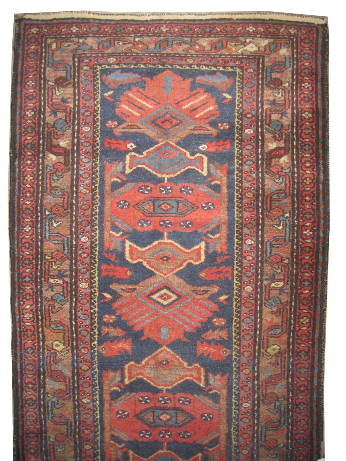 Lilihan Persian - Image 3