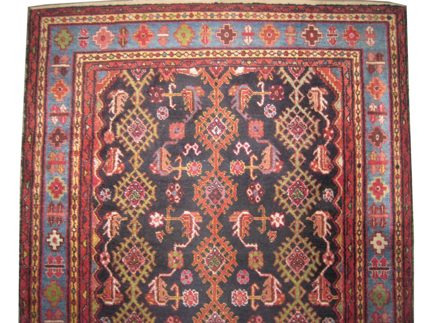 Malaier Persian - Image 3