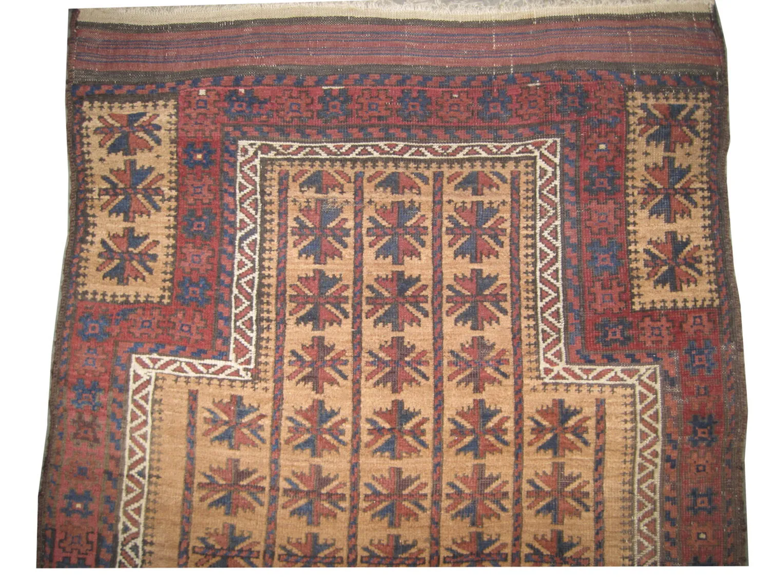 Belutsch Persian - Image 2