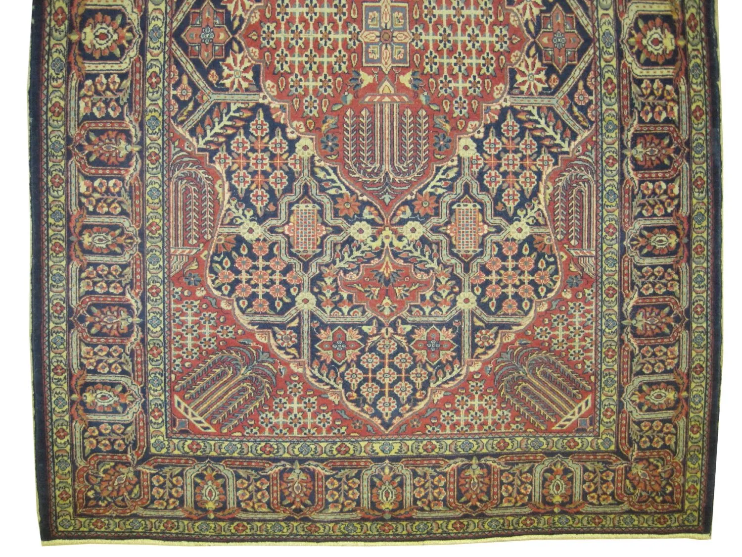 Mohtashem Kashan Persian - Image 4