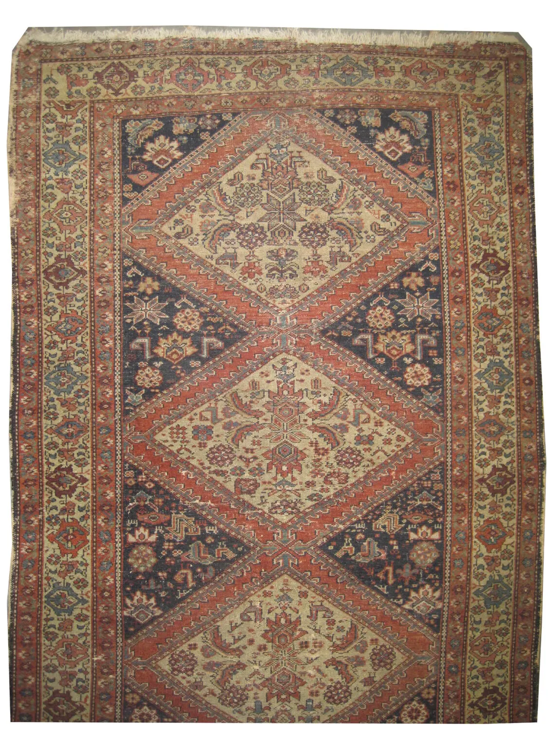 Farahan Persian - Image 3