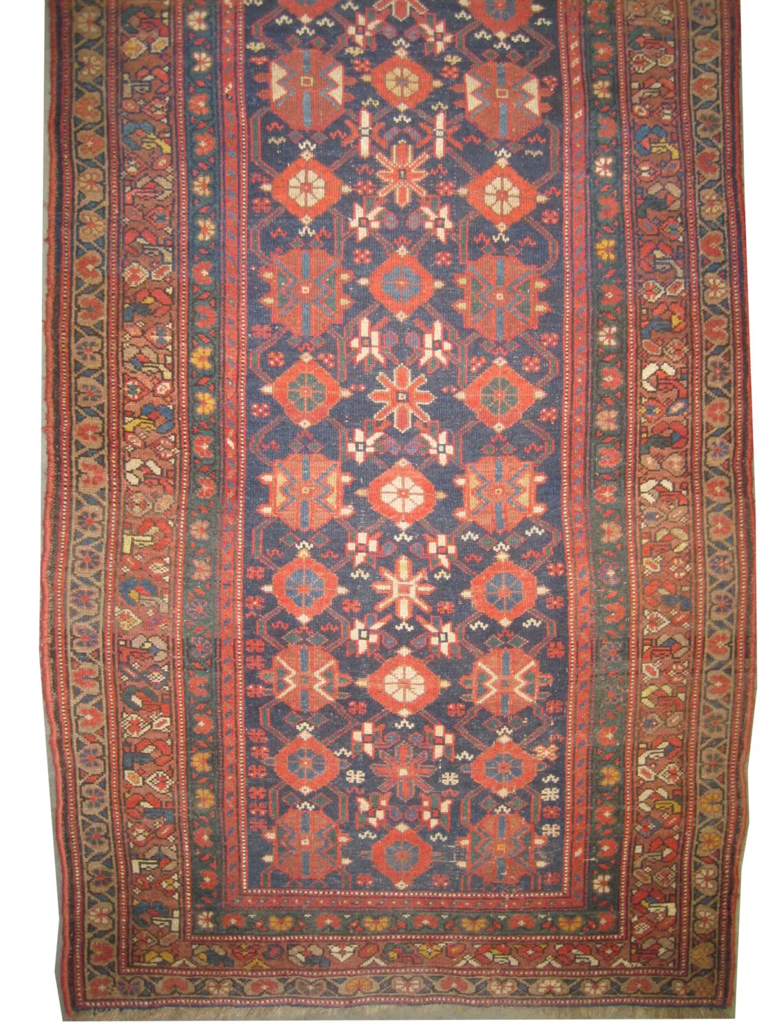 Veramin Kurd Persian - Image 3
