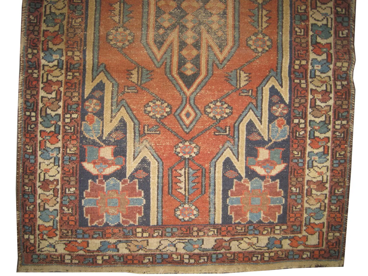 Noubaran Persian - Image 2